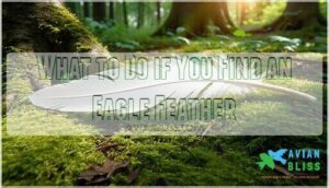 what to do if you find an eagle feather