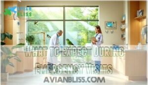 what to expect during emergency visits