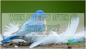 when and how often do birds molt