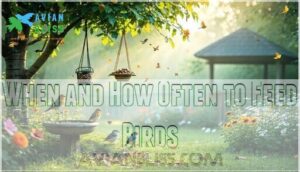 when and how often to feed birds