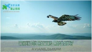 when do hawks migrate