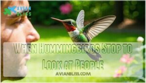 when hummingbirds stop to look at people