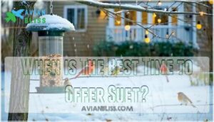 when is the best time to offer suet