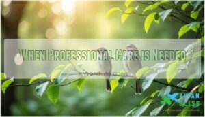 when professional care is needed