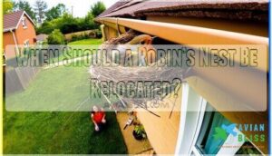 when should a robin’s nest be relocated