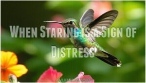 when staring is a sign of distress