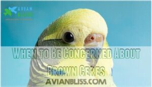 when to be concerned about brown ceres