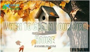 when to clean your bird house