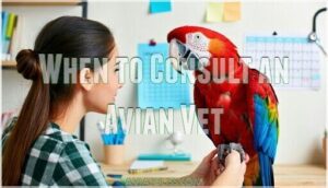 when to consult an avian vet when to consult an avian vet