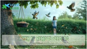 when to remove feeders
