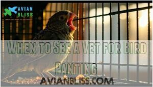 when to see a vet for bird panting