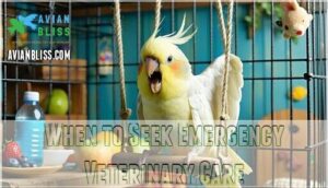 when to seek emergency veterinary care