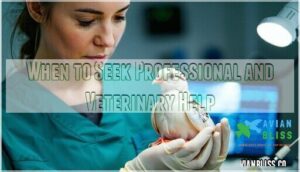 when to seek professional and veterinary help