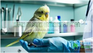 when to seek veterinary care