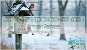 when to start feeding birds