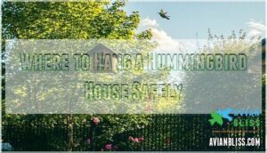 where to hang a hummingbird house safely where to hang a hummingbird house safely