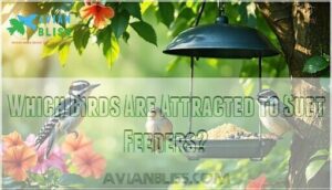which birds are attracted to suet feeders