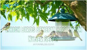 which birds benefit most from nyjer seed