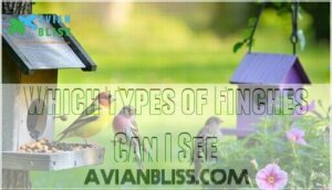 which types of finches can i see