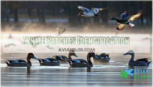 white patches identification