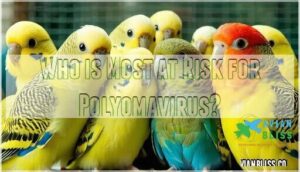 who is most at risk for polyomavirus