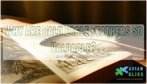 why are bald eagle feathers so valuable
