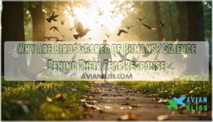 why are birds scared of humans