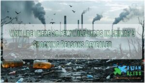 why are there so few wild birds in china why are there so few wild birds in china