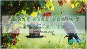 why birds abandon a bird feeder why birds abandon a bird feeder