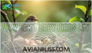 why can’t baby birds lay eggs