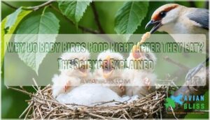 why do baby birds poop right after they eat