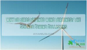 why do birds fly into wind turbines
