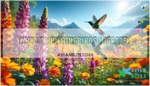 why do hummingbirds migrate