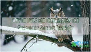 why do owls bob their head