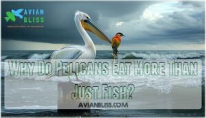 why do pelicans eat more than just fish