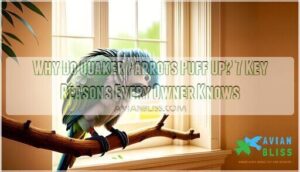 why do quaker parrots puff up