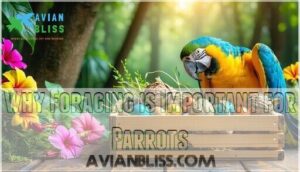 why foraging is important for parrots