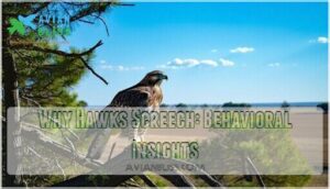 why hawks screech: behavioral insights