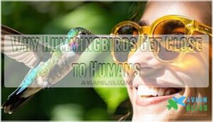 why hummingbirds get close to humans
