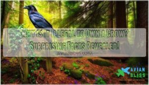 why is it illegal to own a crow