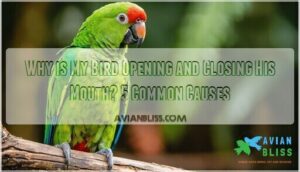 why is my bird opening and closing his mouth