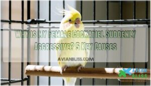 why is my female cockatiel suddenly aggressive