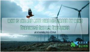 why is the red kite bird disturbed by wind turbines