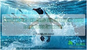 why penguins are birds