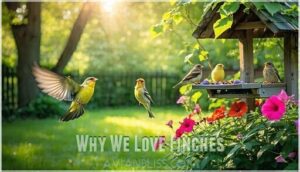 why we love finches