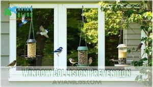 window collision prevention