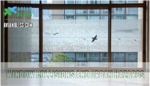 window collisions and urban hazards window collisions and urban hazards