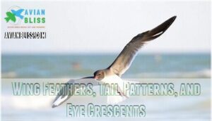 wing feathers, tail patterns, and eye crescents wing feathers, tail patterns, and eye crescents