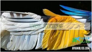 wing markings wing markings