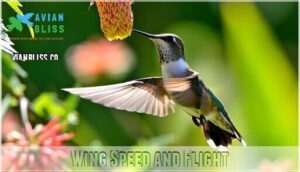 wing speed and flight